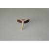 Field Mushroom (Agaricus campestris) 339