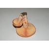Saffron Milkcap (Lactarius deliciosus) 546
